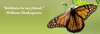 Butterfly with quote